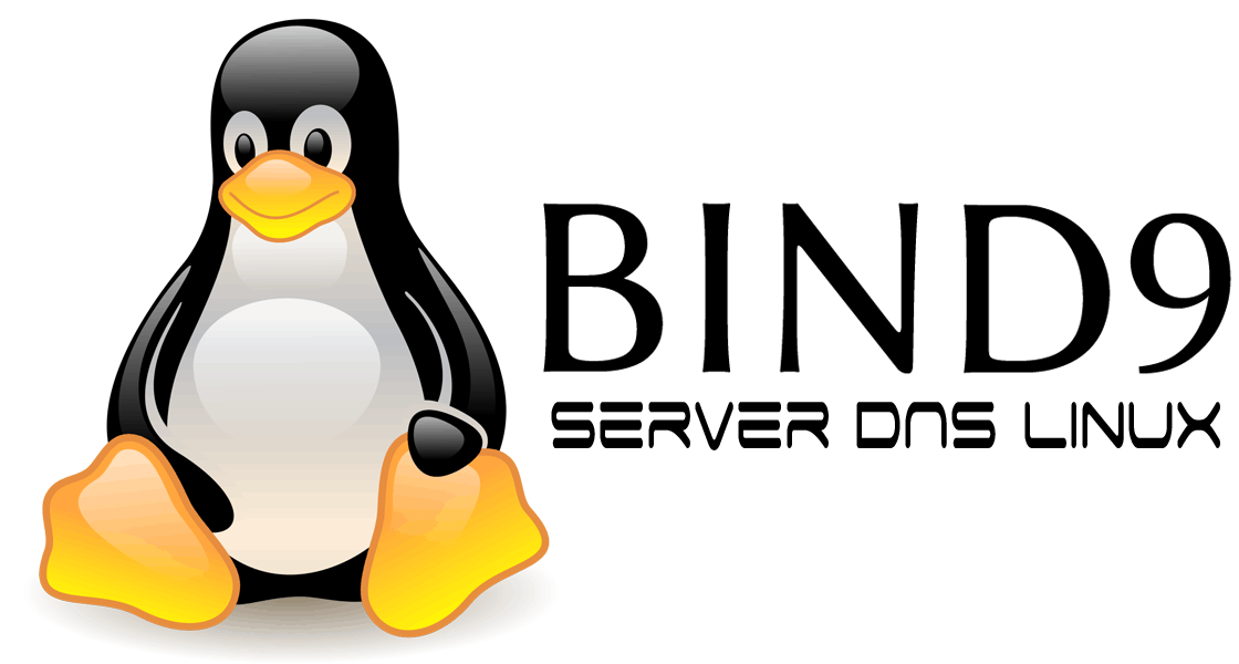 Installazione Server DNS con Bind